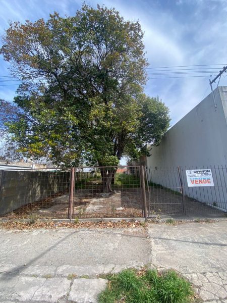 Lote | Tandil