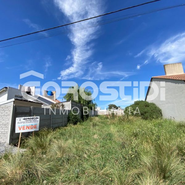 Lote | Tandil