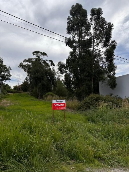 Lote | Tandil