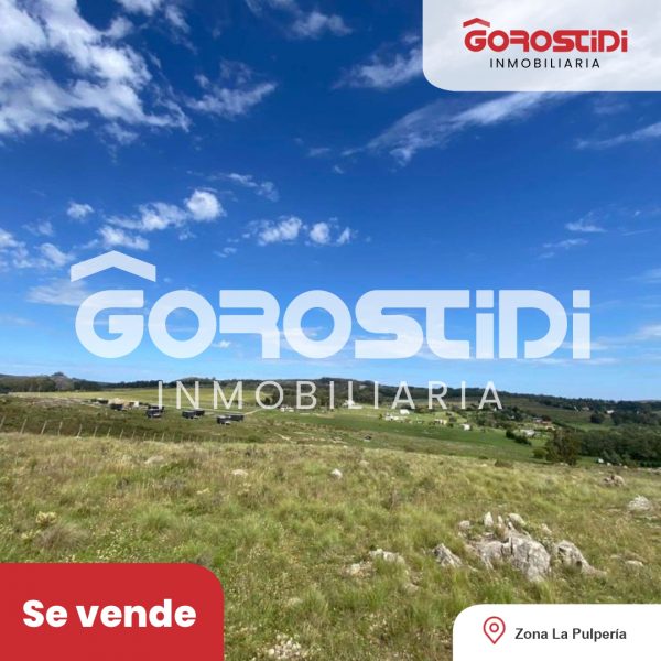 Lote | La Pulperia Tandil  | Tandil