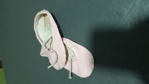 Badanas de danza rosas - Tandil