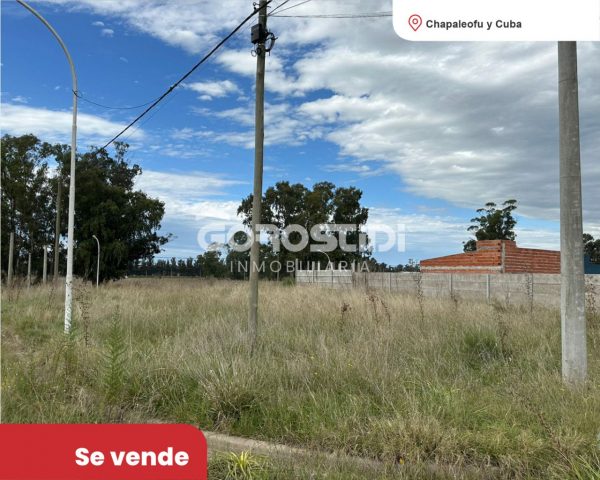 Lote | Tandil