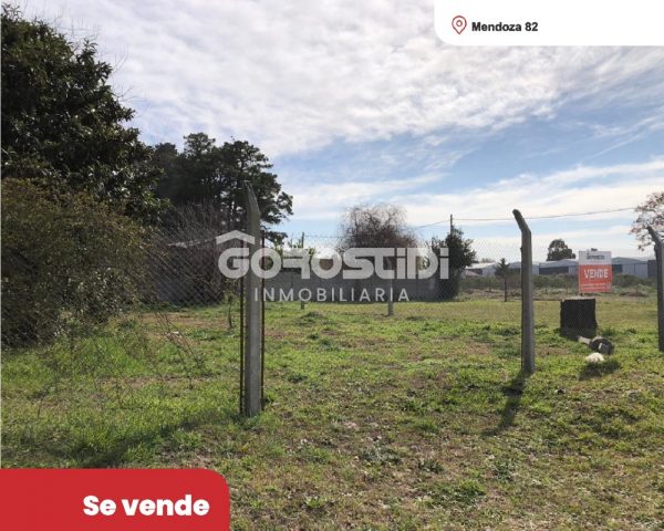 Lote | Tandil
