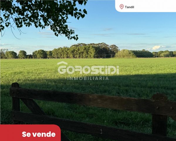 Lote | Tandil