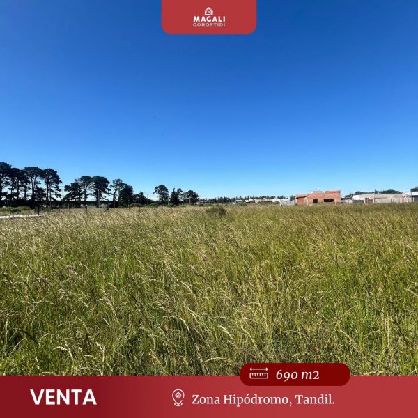 Lote | Hip&oacute;dromo  | Tandil