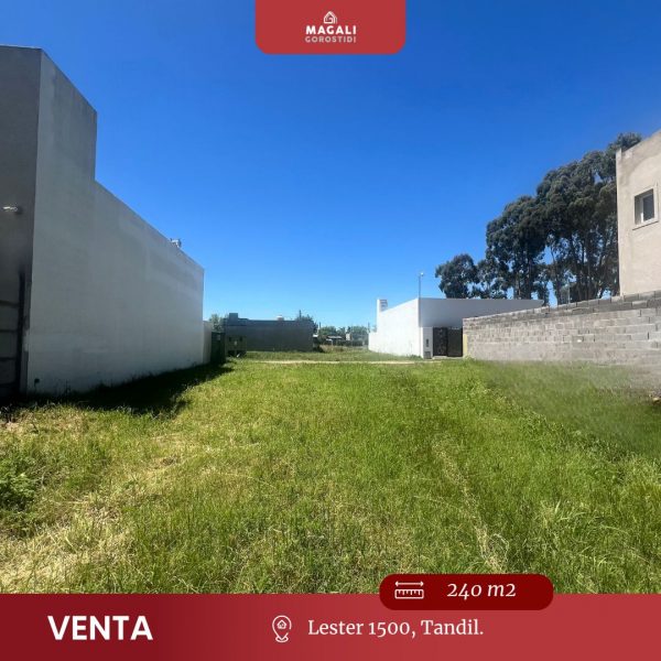 Lote | Lester | Tandil
