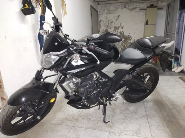 Yamaha 300 Mt 03