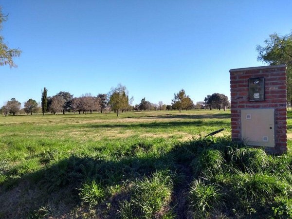 Lote | Campana