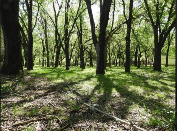 Lote | 5 ambientes | Rio Ceballos