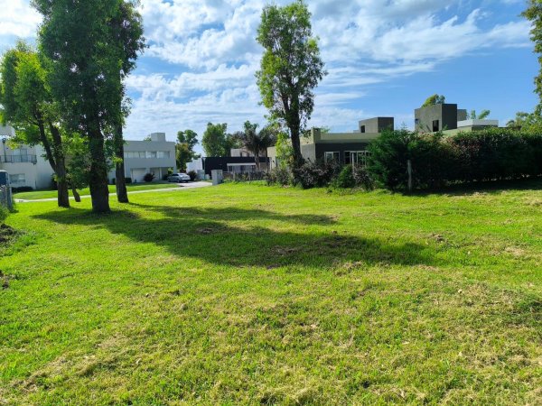 Lote | Alvarez del Bosque | Gonzalez Moreno