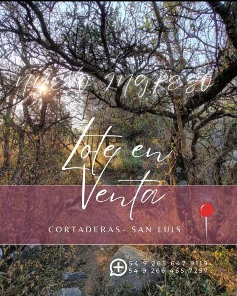 Lote | Cortaderas