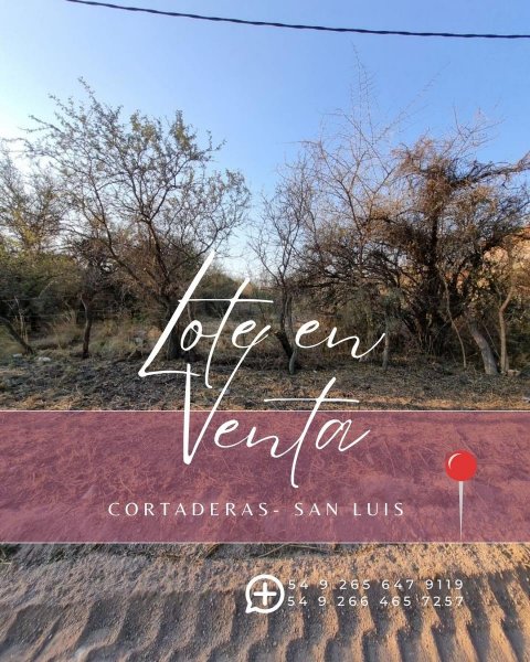 Lote | Cortaderas