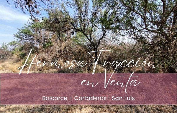 Lote | Balcarce