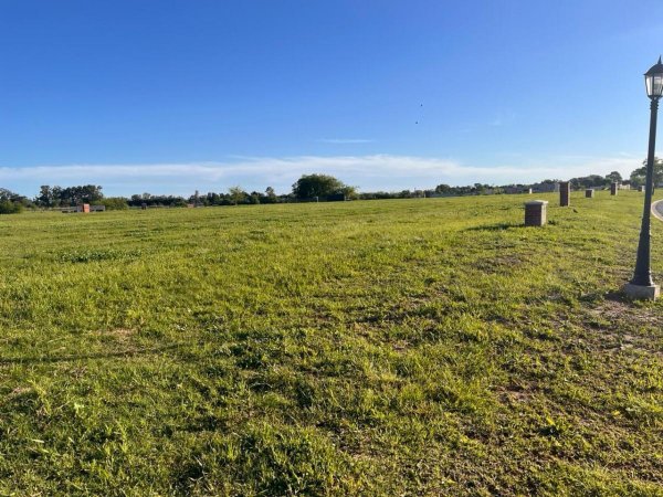 Lote | Zelaya | Pilar