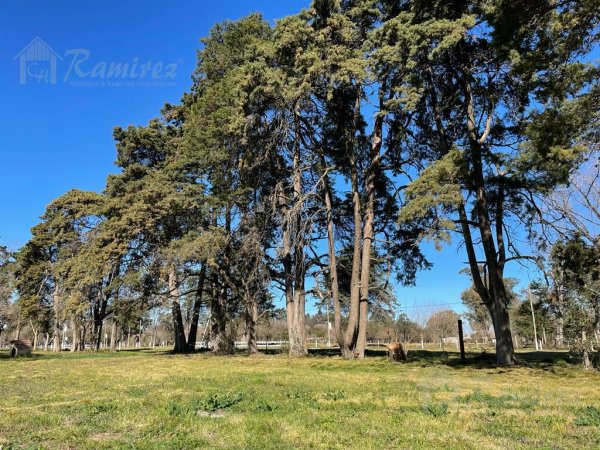 Lote | Moreno | Gonzalez Moreno