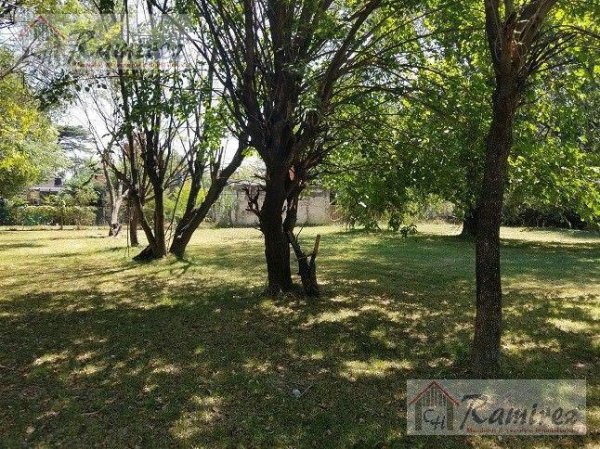 Lote | Moreno | Gonzalez Moreno
