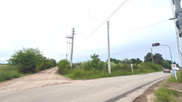 Lote | Matheu