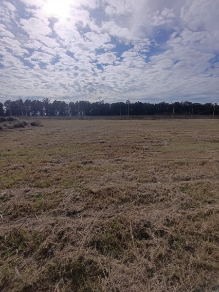Lote | Tandil