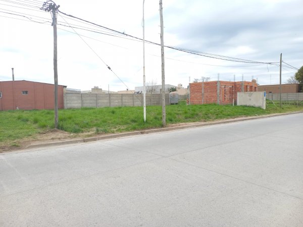 Lote | Tandil