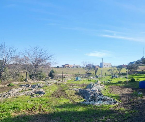 Lote | Tandil