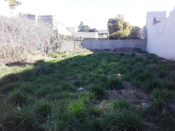 Lote | Tandil