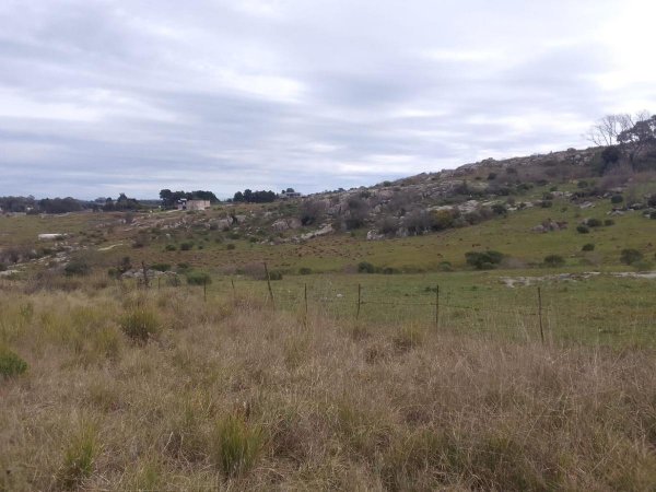 Lote | Tandil
