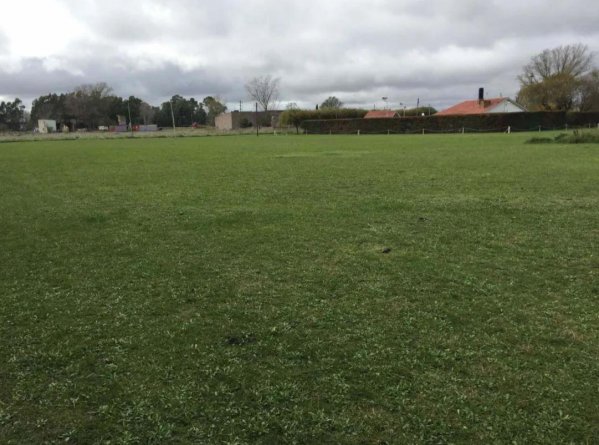 Lote | Olavarr&iacute;a