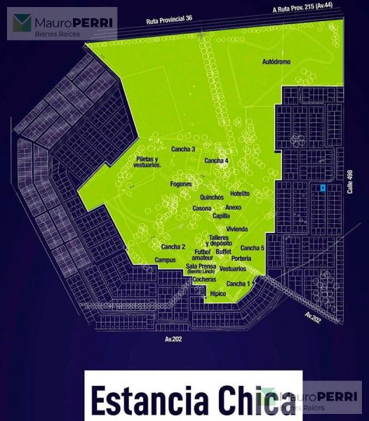 Lote | Abasto