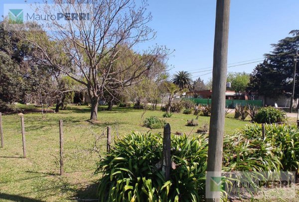 Lote | Lisandro Olmos Etcheverry | La Plata