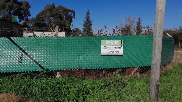 Lote | Lisandro Olmos Etcheverry | La Plata