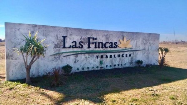 Lote | Fincas Ros | Ibarlucea