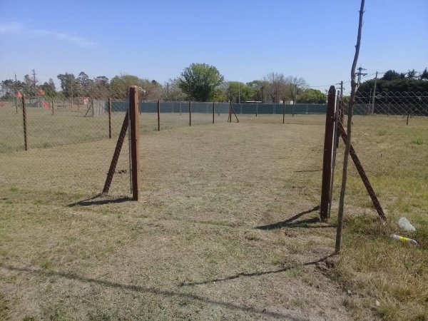 Lote | Andino