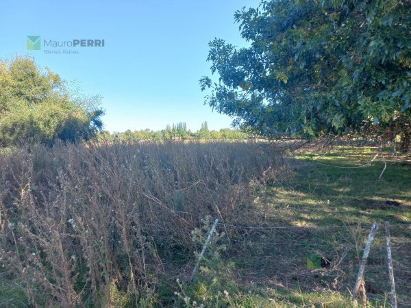 Lote | Chascomus