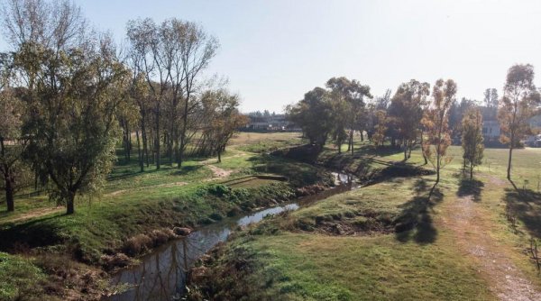 Lote | La Estela | Pilar