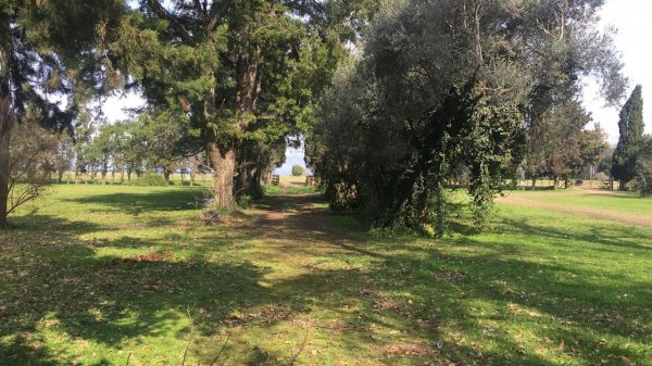 Lote | Baradero
