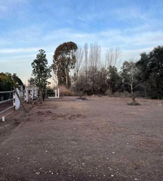 Lote | Mendoza