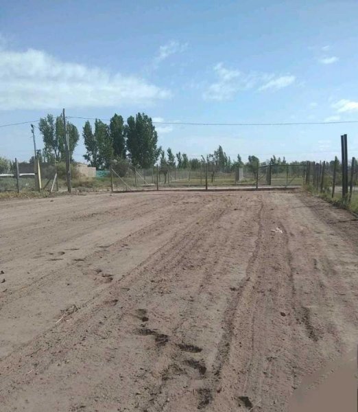 Lote | Mendoza