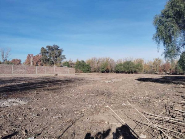 Lote | Mendoza