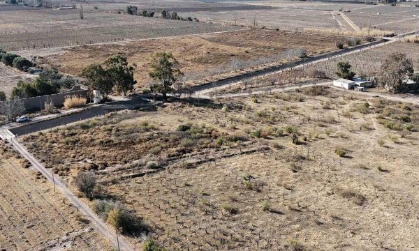 Campo en venta | Rivadavia