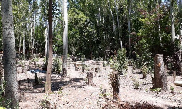 Lote | Chacras De Coria | Lujan De Cuyo