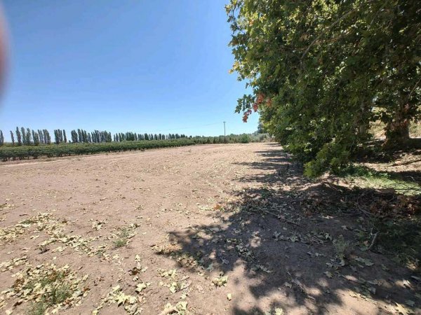 Lote | Junin