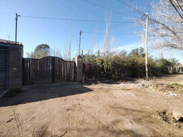 Lote | Mendoza