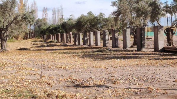 Lote | Mendoza