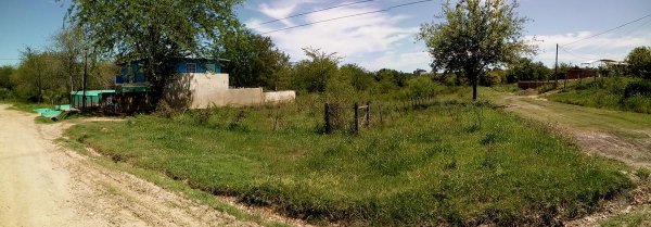 Lote | Colon