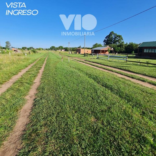 Lote | Colon