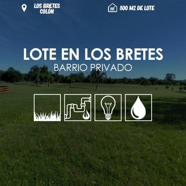Lote | Colon