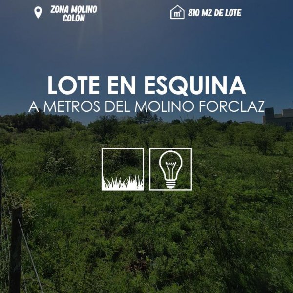 Lote | Colon