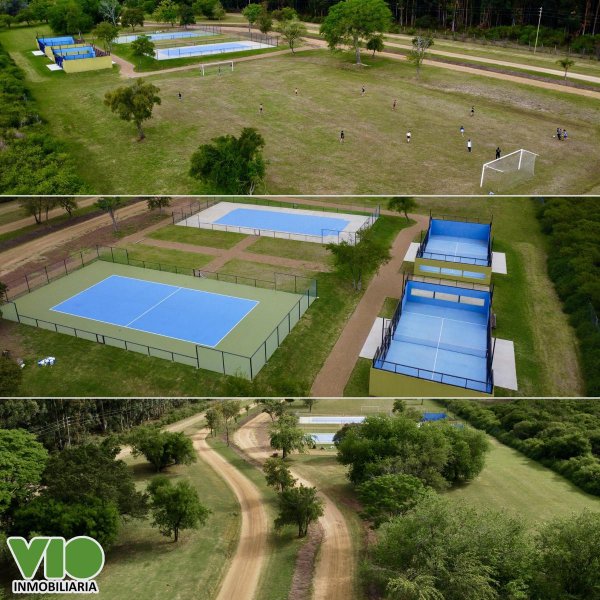 Lote | San Anselmo | Colon