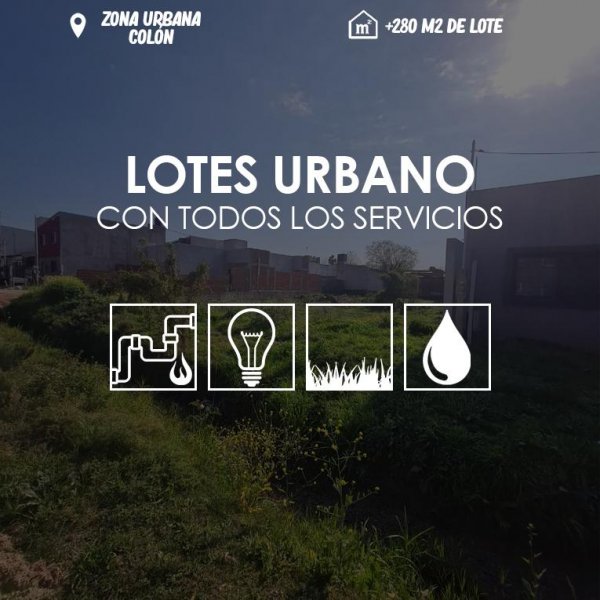 Lote | Colon