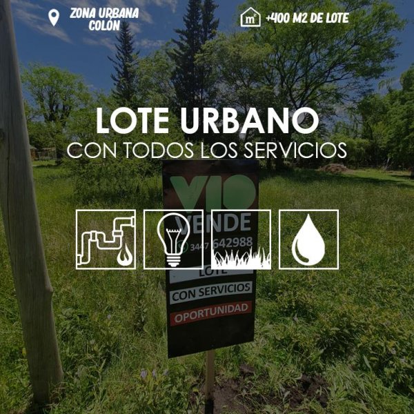 Lote | Colon